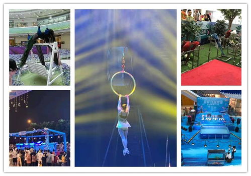 三門峽鱷魚表演出租公司