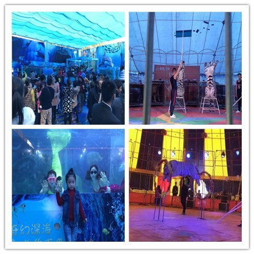 宜昌市哪里有萌寵展對外出租