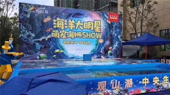 郟縣雜技馬戲團(tuán)表演動(dòng)物主題暖場(chǎng)活動(dòng)