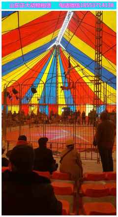 皇家馬戲團(tuán)表演出租價(jià)格多少 海獅企鵝羊駝出租 萌寵出