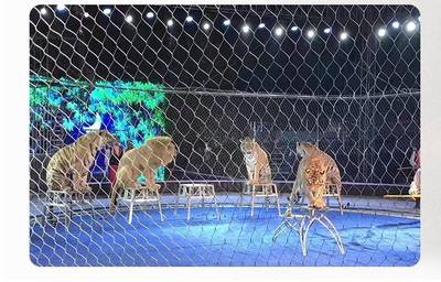 馬戲團柔性防護網 馬戲團安全圍欄網工廠定制