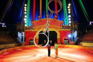 海洋生物展馬戲團表演出租