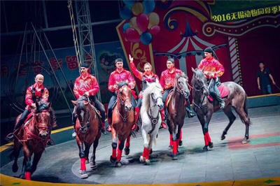 租賃動物皇家馬戲團商業慶典互動暖場