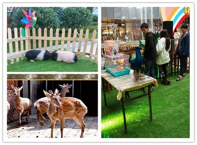 大馬戲表演節目大全