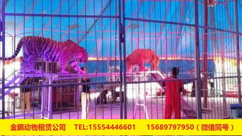 專業(yè)出租馬戲團表演與冰雕展出租賃服務