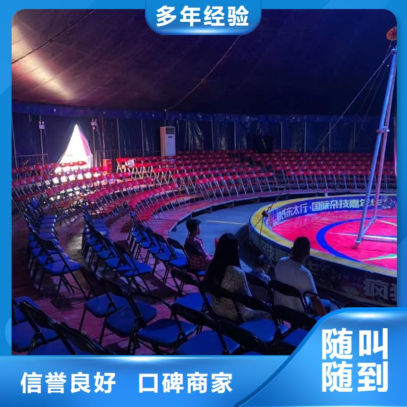 馬戲團羊駝動物表演出租解決方案 創新合作模式助力商業活動