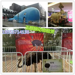 張家界市動(dòng)物租賃馬戲團(tuán) 藝術(shù)表演與動(dòng)物福利的平衡探索